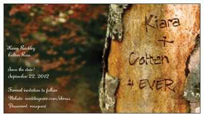 Cost of mailing STD magnets?