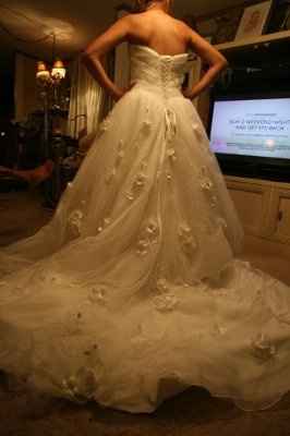 bought my dress today (with pictures) lets see yours :)