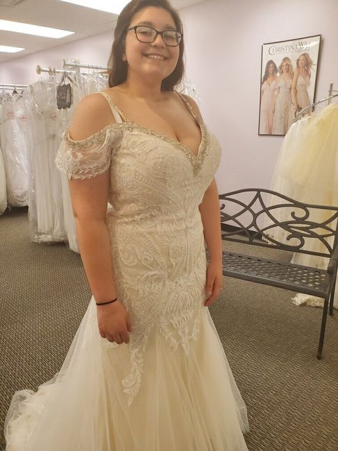 What Dresses Did You Try, And Not End Up Buying?? 4