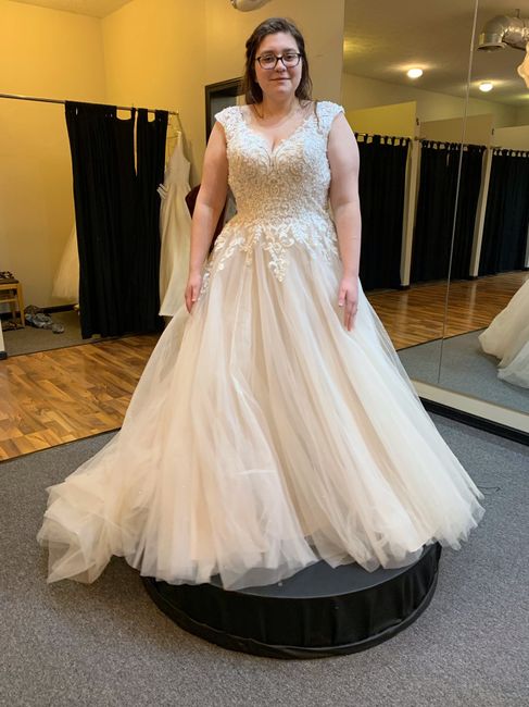 What Dresses Did You Try, And Not End Up Buying?? 6