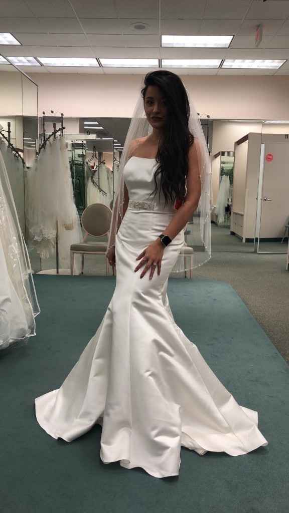 Davids Bridal $99 dresses - 1