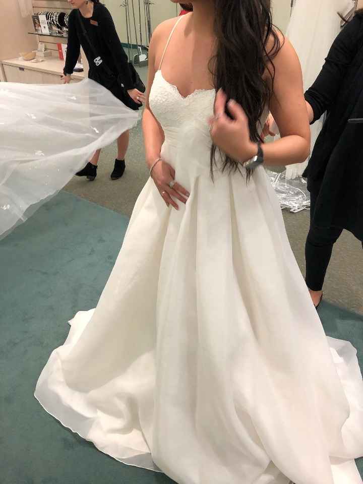 Davids Bridal $99 dresses - 3