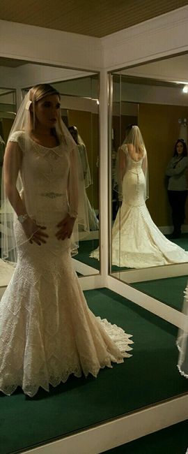 I found my dream dress!