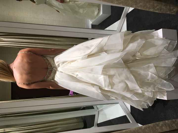 Professionally Steam my Dress?