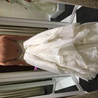 Professionally Steam my Dress?