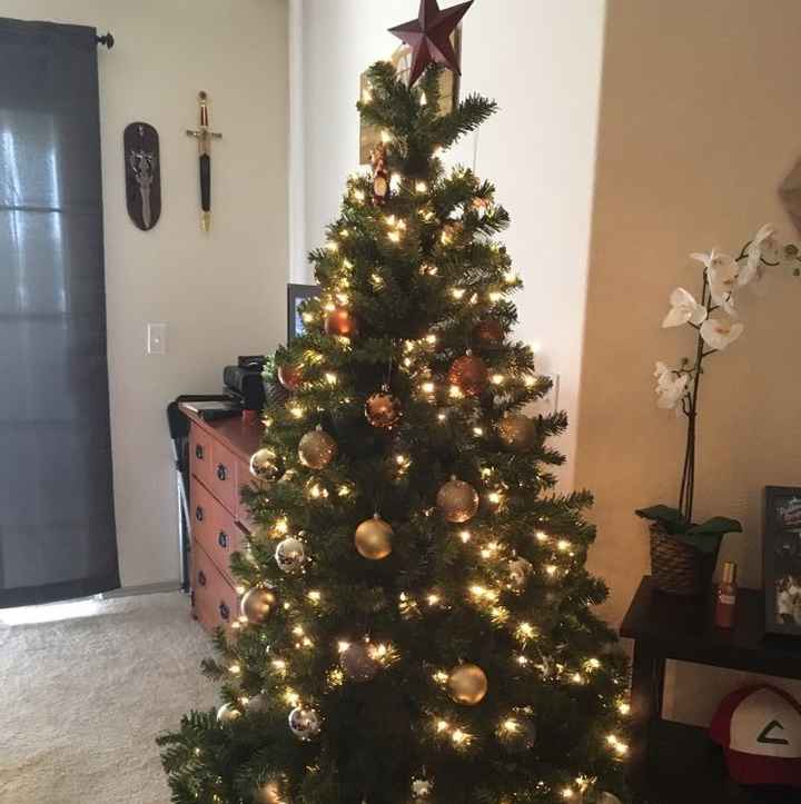 NWR: Finally finished decorating our first Christmas tree!!