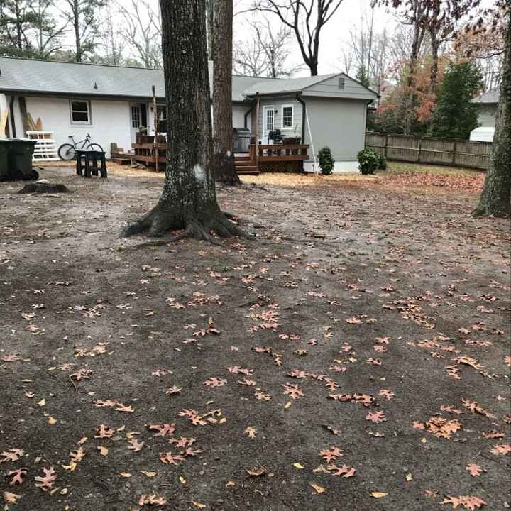  Backyard wedding ground - 2