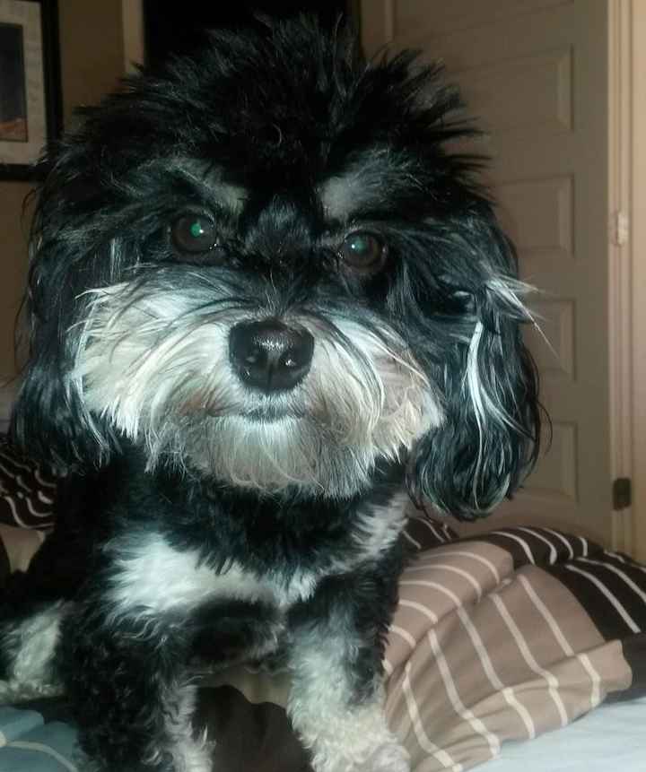 NWR: Mrs. A & J - This one's for you!!