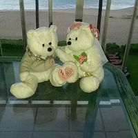 I DO NOT HAVE THE BEANS!! I REPEAT.... I DO NOT HAVE THE WW BEANS!