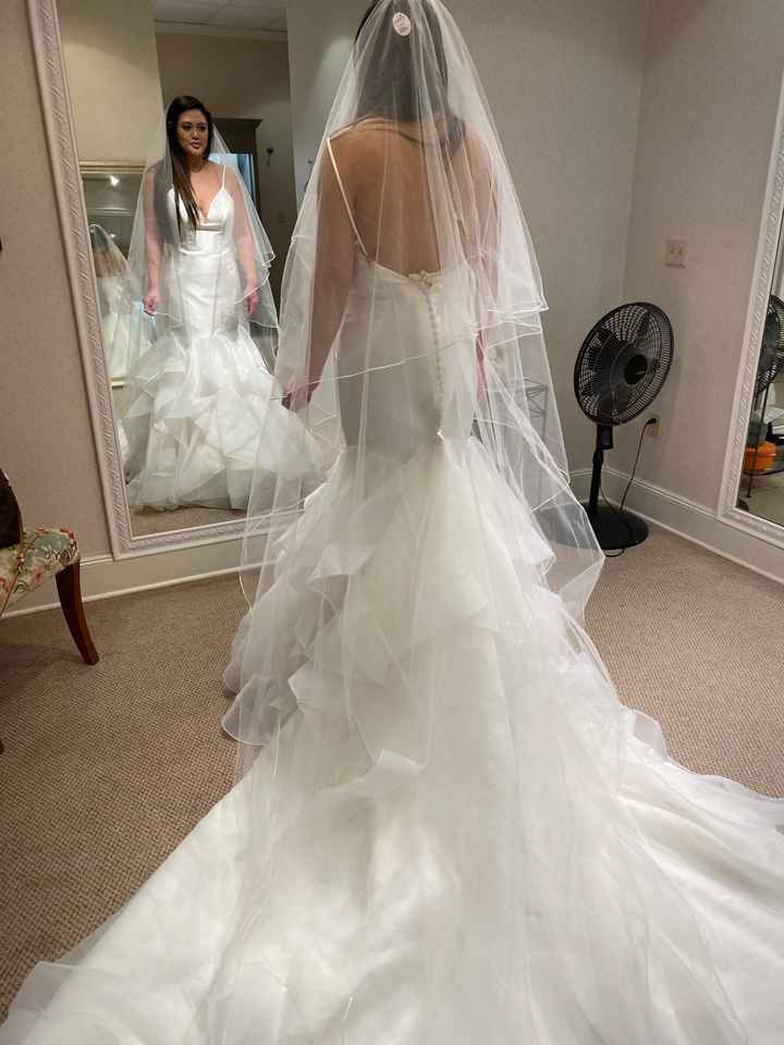 Cathedral veil or no? - 1