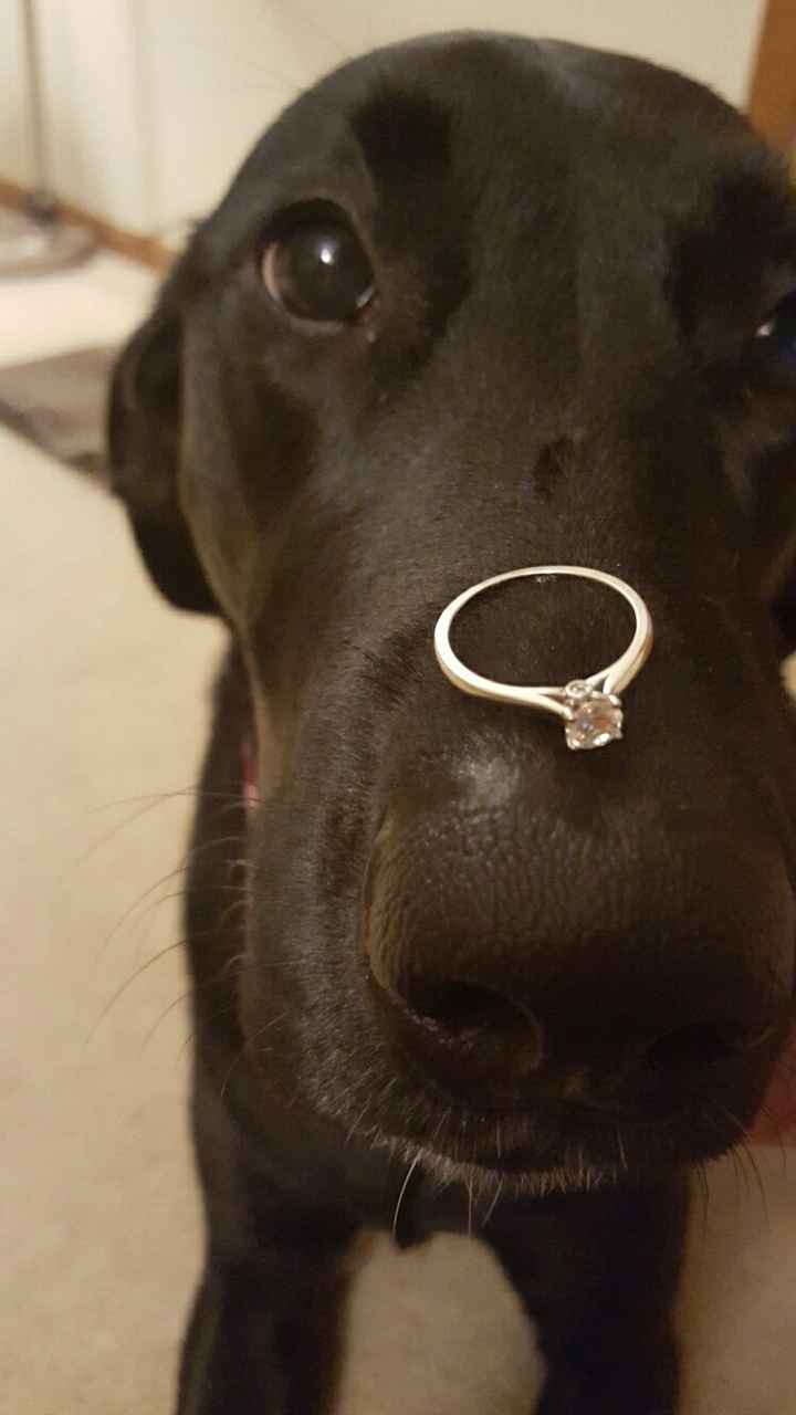 Let me see your rings!