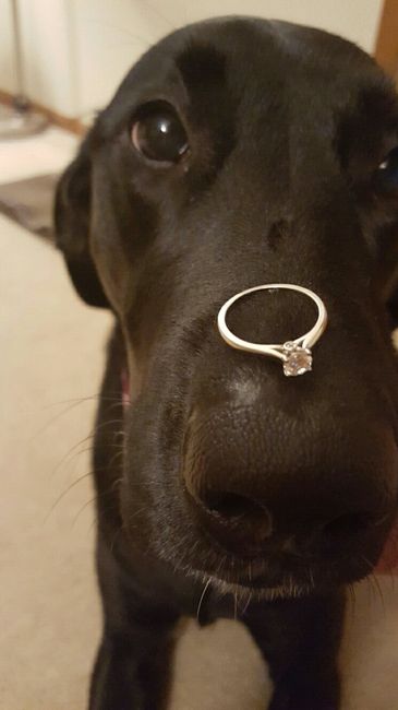 Let me see your rings!