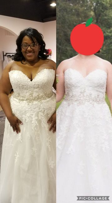 almond vs ivory 