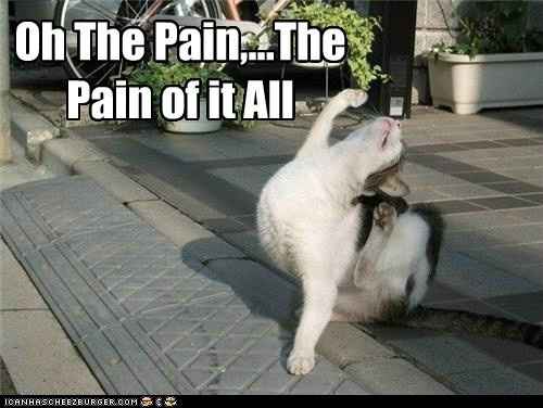 Seating Chart. To do or not to do....