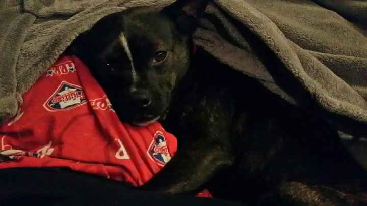 I LOVE my fur baby!