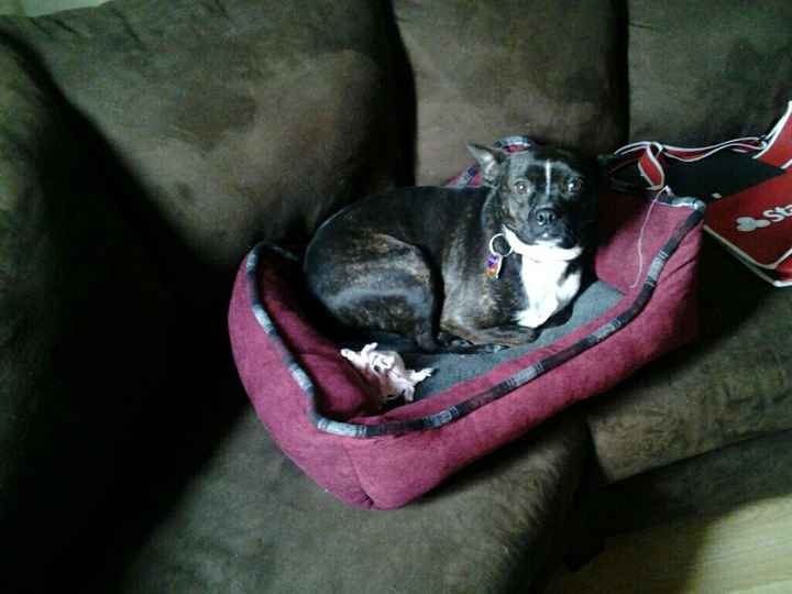 Fursday :)
