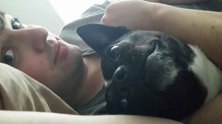 NWR - love my dogs