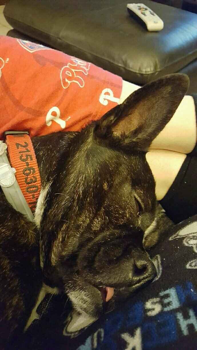Nwr: my pup
