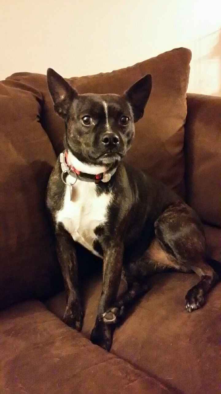 NWR: Show me your pups!