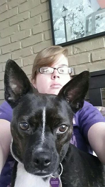 Fur Babies (Give the Best Hugs)