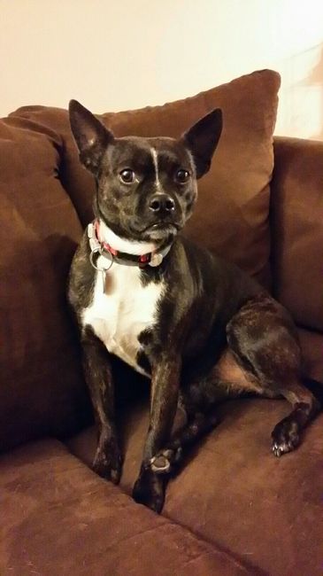 NWR: Puppy Friday!!