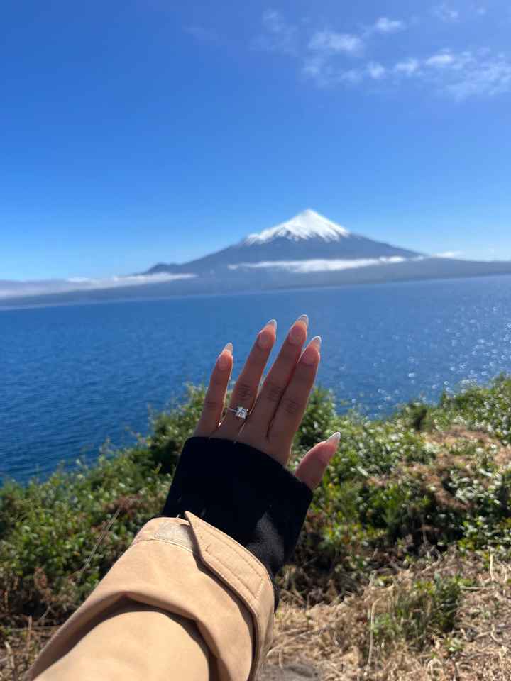 2025 Brides - Show us your ring! - 1