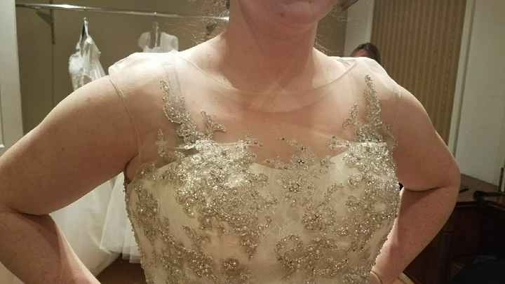  Said Yes to the Dress! - 3