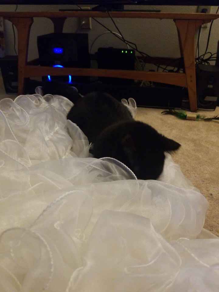 My helper, making sure it doesn't go anywhere