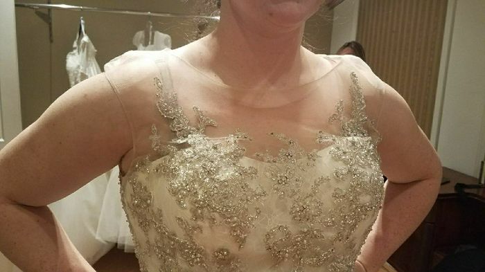  Said Yes to the Dress! - 3