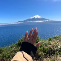 2025 Brides - Show us your ring! - 1