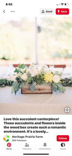 Centerpieces - 1