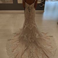 i picked a dress!!!! - 2