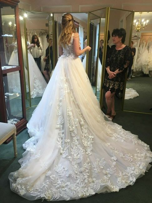 Veil or no veil - 1
