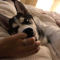Brides of 2020!  Show us your ring! - 1