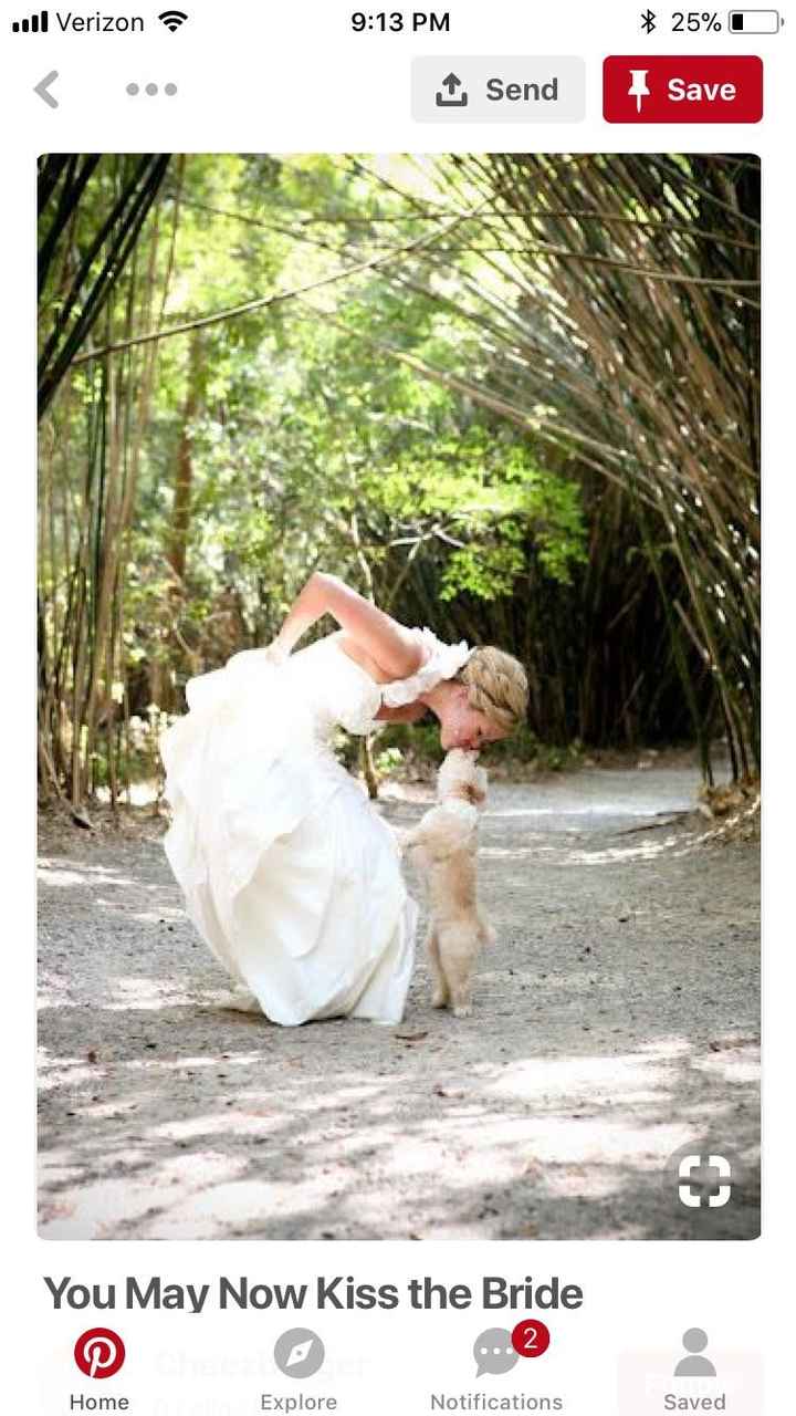 Pets in wedding photos - 2