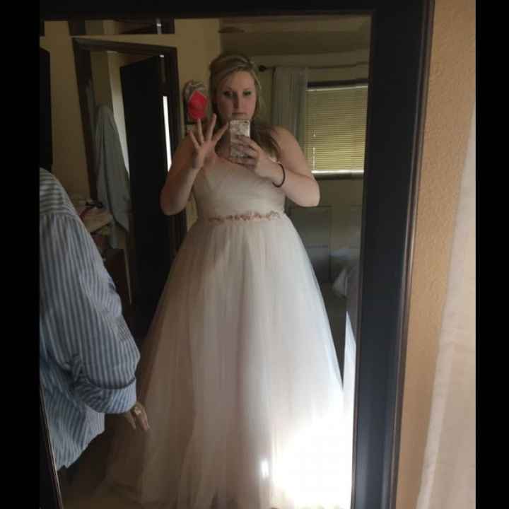 To veil or not to veil... - 1