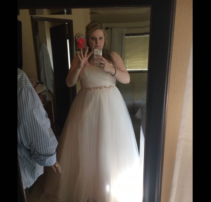 Show me your David's Bridal Dresses 8