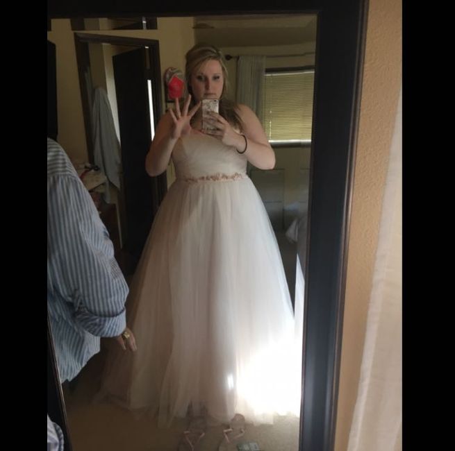 Dress Alterations??? - 1