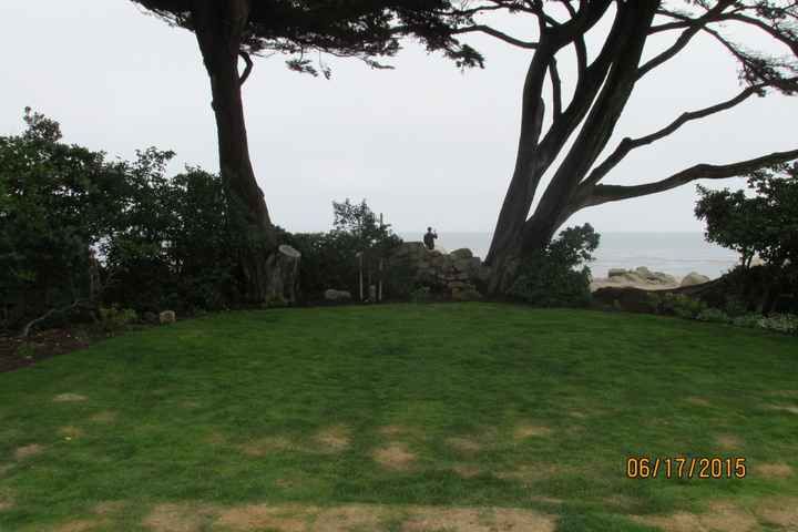 Park venue: what do you think?