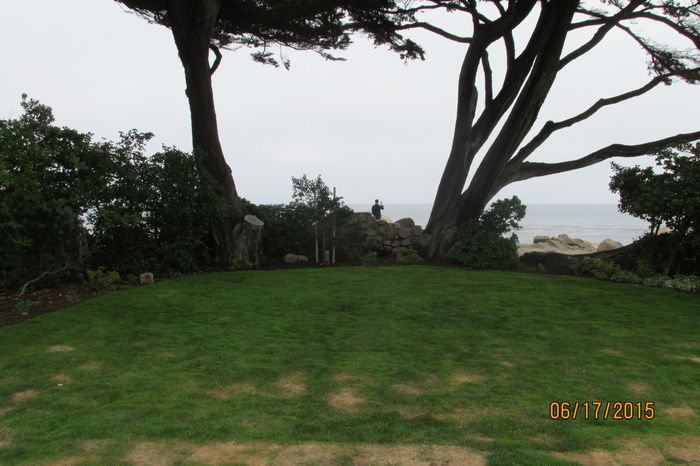 Park venue: what do you think?