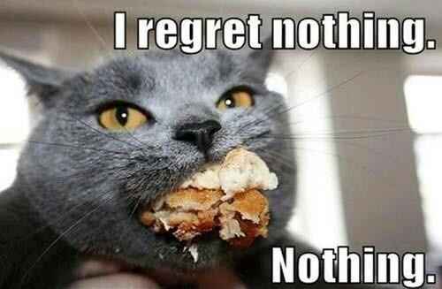 KWR: Drunk Kitty