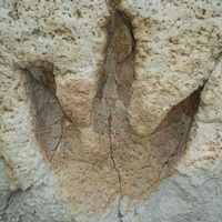 Jurassic Park wedding ideas