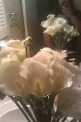 Decided to go with white calla lillies for DIY bouquets, but need accent flowers.