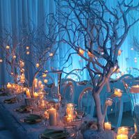 Christmas Time Weddings - 1