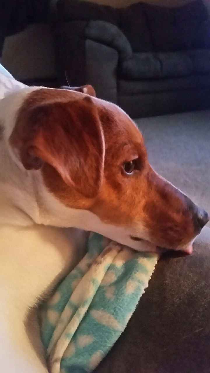 NWR: post pics of your pets!!