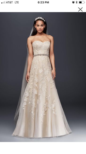 Does your wedding dress have lace, beading, or both? 1