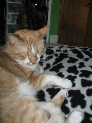 NWR - Furry babies