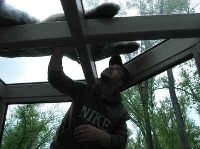 Whats the Funniest and Cutiest picture of you FH???