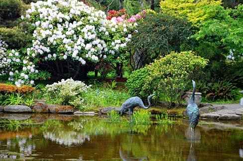 If I were having a ____ wedding, I would want _____!