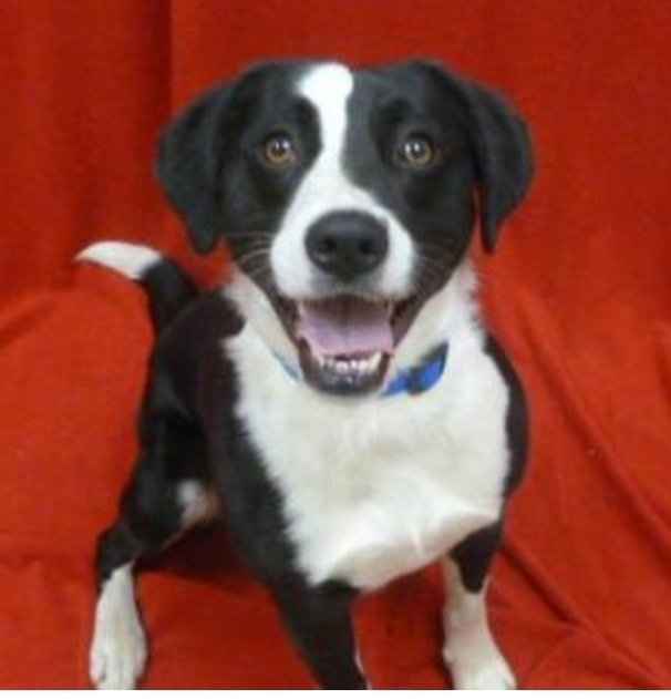 Just for fun, lets see your crazy pet child....